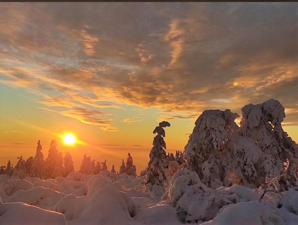 Ferienwohnung Heide Фройденщат Екстериор снимка